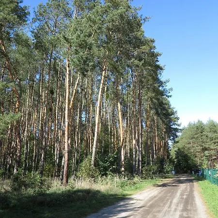 Warzecha Miloszyce Bzowa 40/4 Jelcz-Laskowice